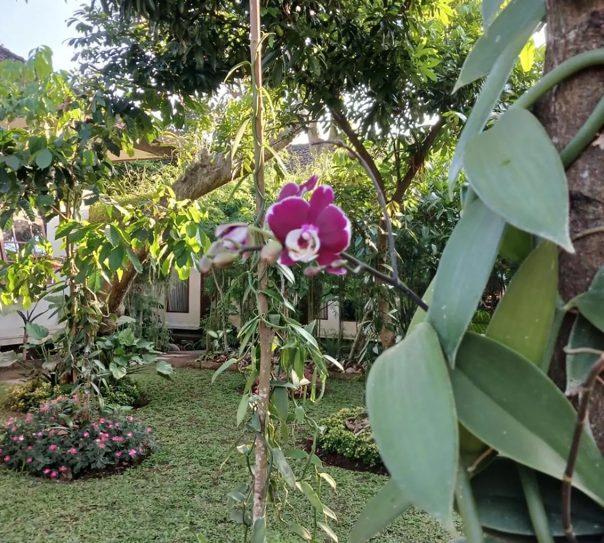 Puri Amartha Lägenhet Ubud 0*,  Indonesien