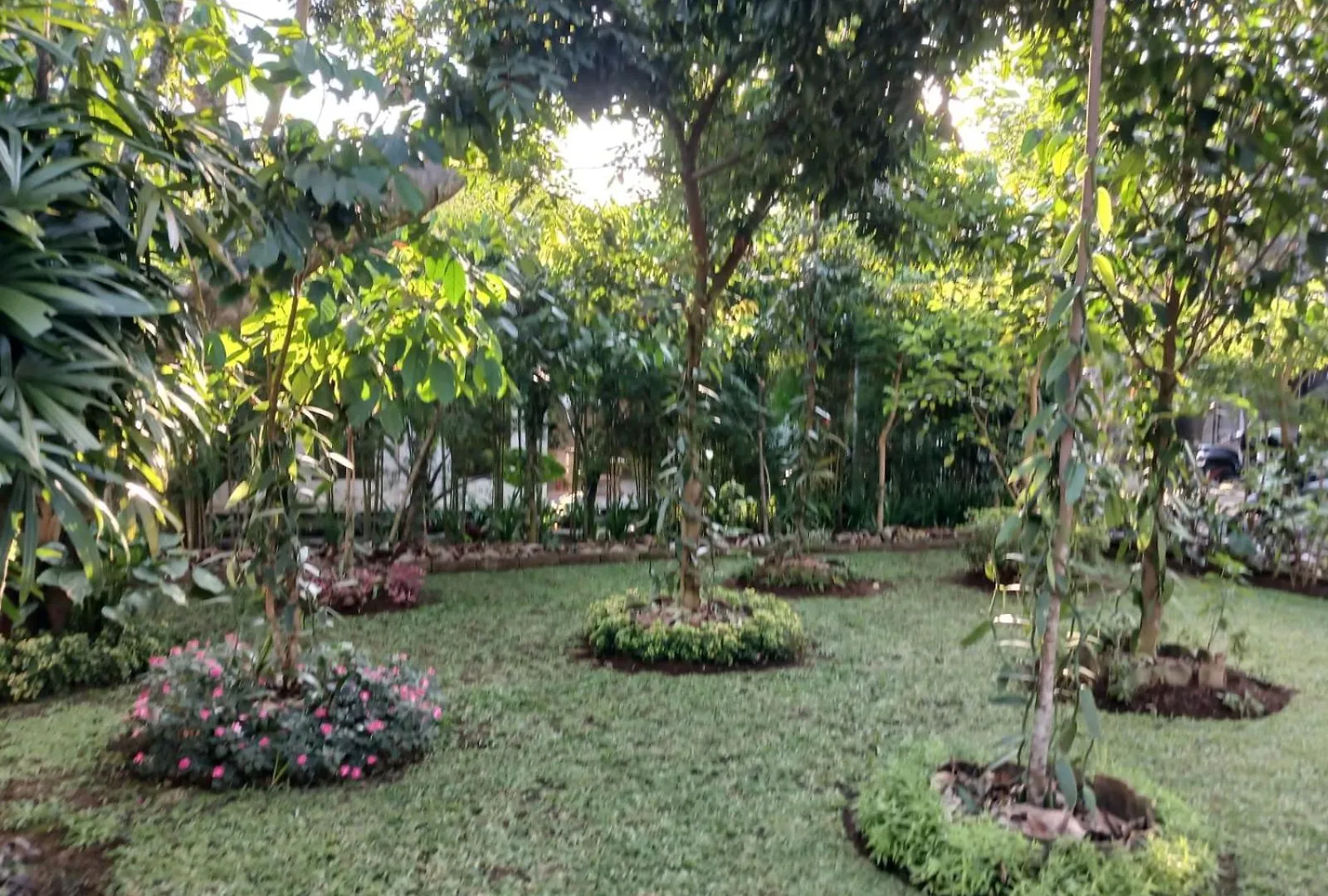 Rum i privatbostad Puri Amartha Lägenhet Ubud