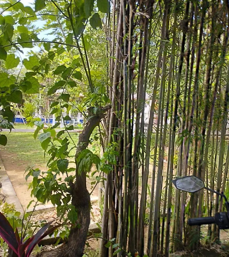 Puri Amartha Apartment Ubud  Homestay